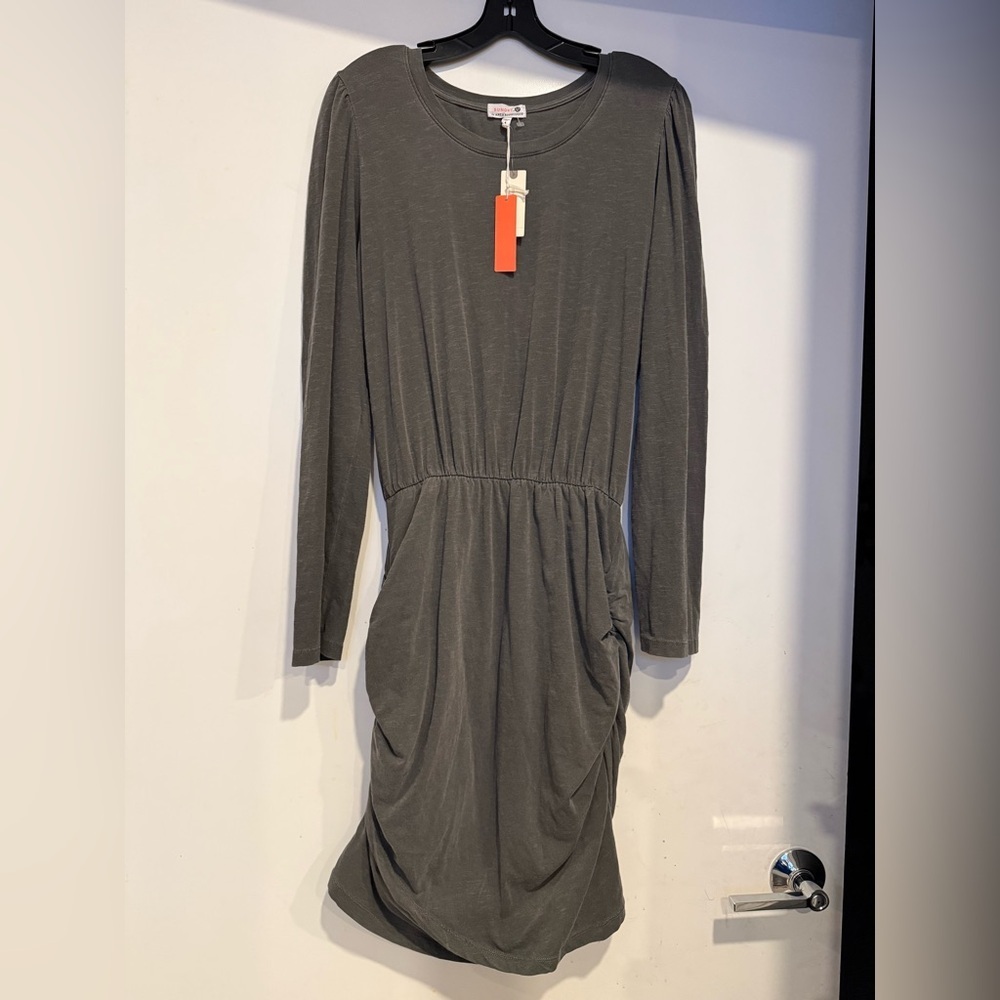 NWT Sundry By Anthropologie Long Sleeve Ruched Mini Stretch Dress Size XL (4)
